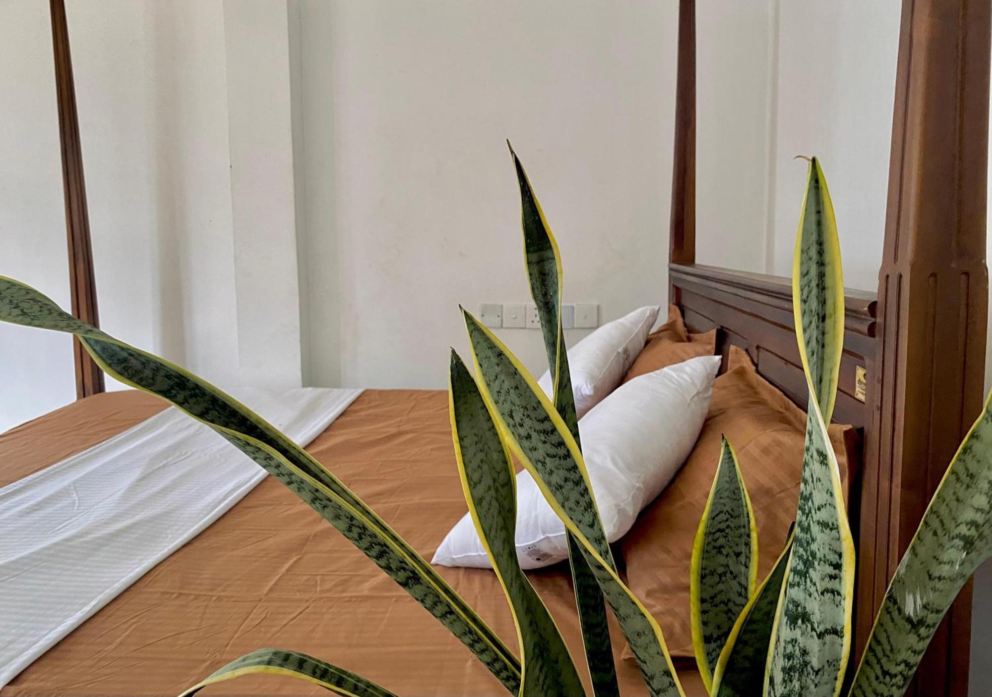 Sasmika Villa Surf And Yoga Hostel Weligama Buitenkant foto