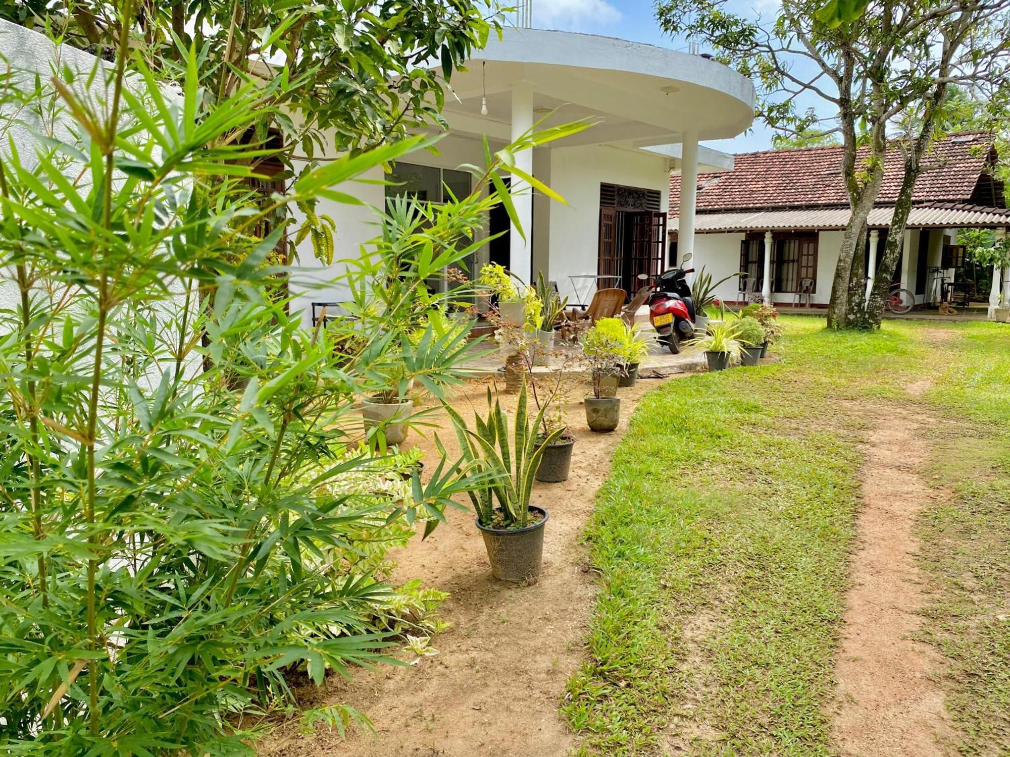 Sasmika Villa Surf And Yoga Hostel Weligama Buitenkant foto