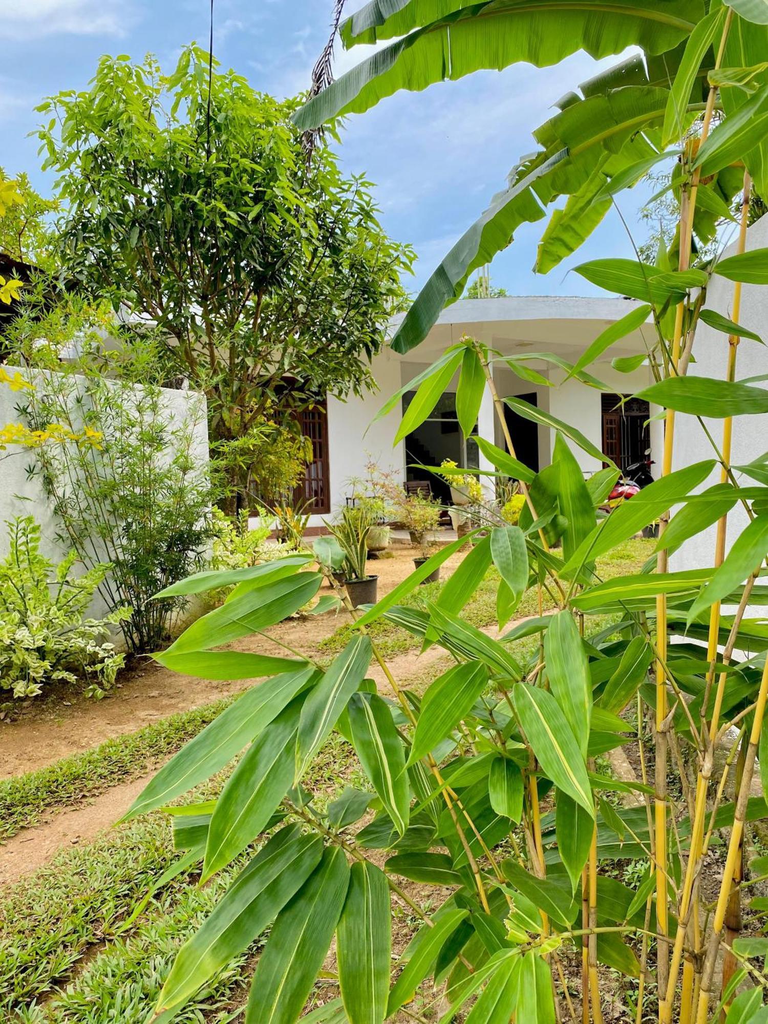 Sasmika Villa Surf And Yoga Hostel Weligama Buitenkant foto
